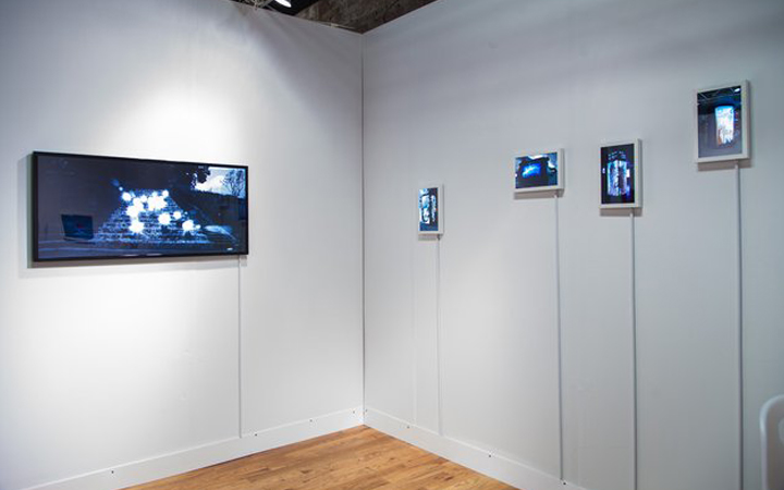 Volta NY gallery . New York . USA