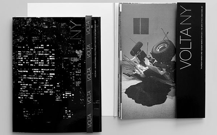 Volta NY gallery . New York . USA