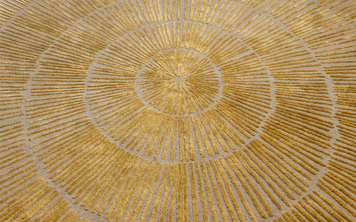 Damien Langlois Meurinne . Paris St. Germain