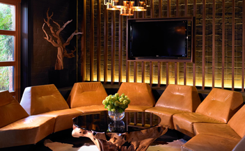 Roosevelt Hotel . Los Angeles . Joyce Wang